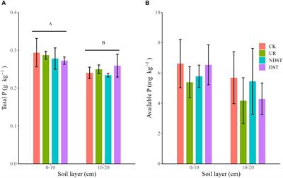 Effects of thinning and understory removal on soil phosphorus fractions in subtropical pine plantations